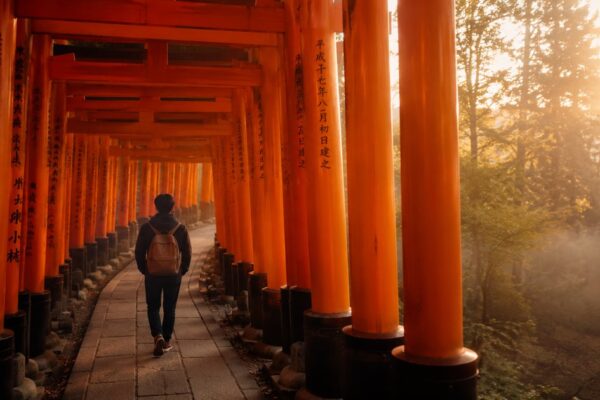 Japan Solo Travel 2026: The Real Cost & 17-Day Itinerary That Works - Ryu Journal travel guide visual